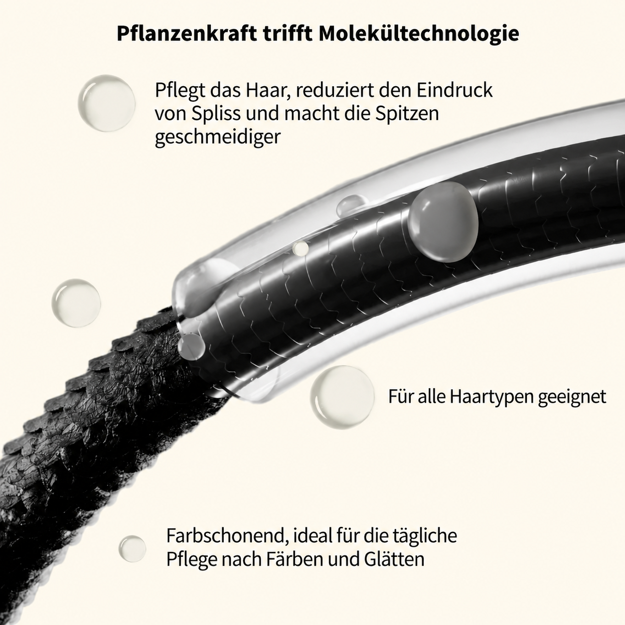 đ„ Nur heute: 50% Rabatt + extra sparen beim Kauf mehrerer Artikel! Argan Extract Hair Oil 70 ml â 100% reine, rohe & natĂŒrliche Mischung mit Kokosöl