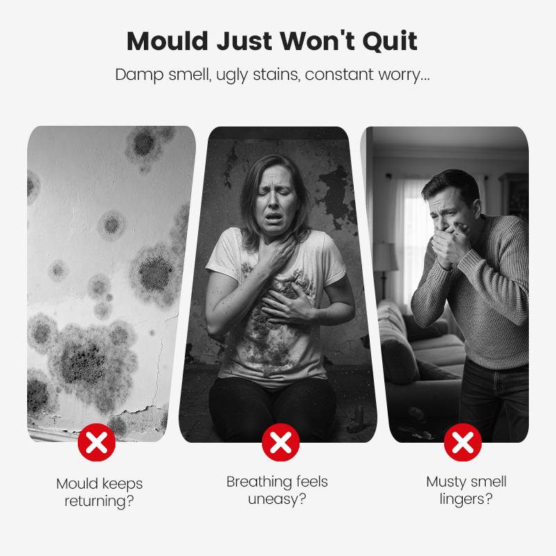 🎁 Hot Sale 49% OFF 🔥2026 Hot Sale🔥Highly Effective Mould Removal Spray - Prevents Mould Regrowth