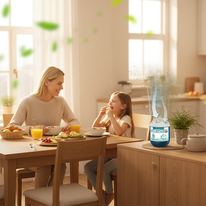 🔥 Limited-Time Pre-Sale⏰Indoor Air Purification Dust Removal Magic Box🏠🌿